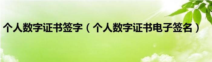 个人数字证书签字（个人数字证书电子签名）