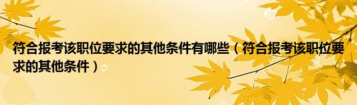 符合报考该职位要求的其他条件有哪些（符合报考该职位要求的其他条件）