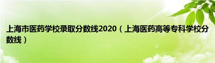 上海市医药学校录取分数线2020（上海医药高等专科学校分数线）