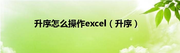 升序怎么操作excel（升序）