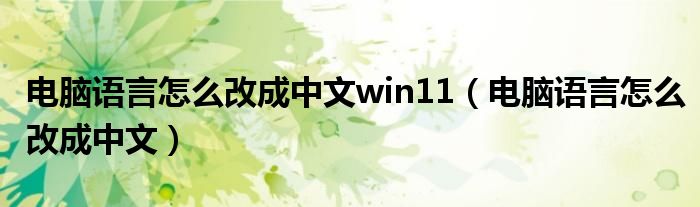 电脑语言怎么改成中文win11（电脑语言怎么改成中文）