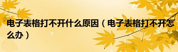 电子表格打不开什么原因（电子表格打不开怎么办）