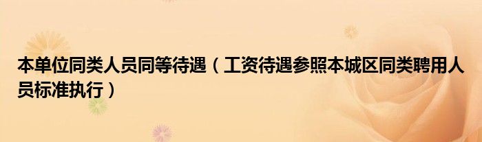 本单位同类人员同等待遇（工资待遇参照本城区同类聘用人员标准执行）