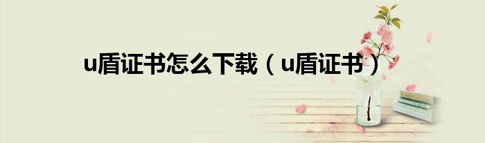 u盾证书怎么下载（u盾证书）