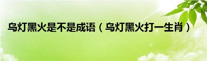 乌灯黑火是不是成语（乌灯黑火打一生肖）