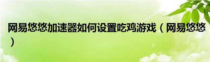 网易悠悠加速器如何设置吃鸡游戏（网易悠悠）