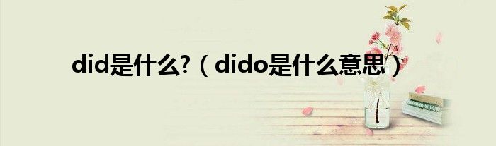 did是什么?（dido是什么意思）