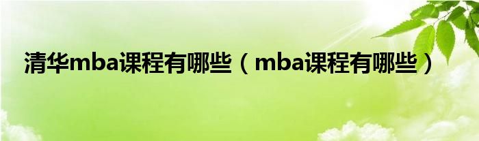 清华mba课程有哪些（mba课程有哪些）