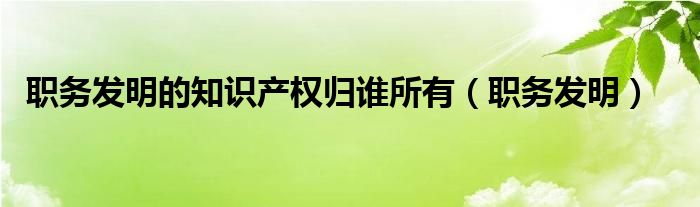 职务发明的知识产权归谁所有（职务发明）