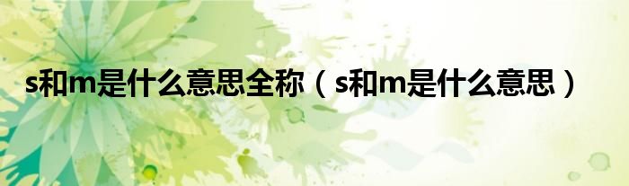 s和m是什么意思全称（s和m是什么意思）