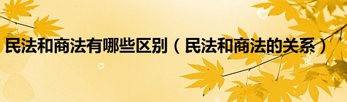 民法和商法有哪些区别（民法和商法的关系）