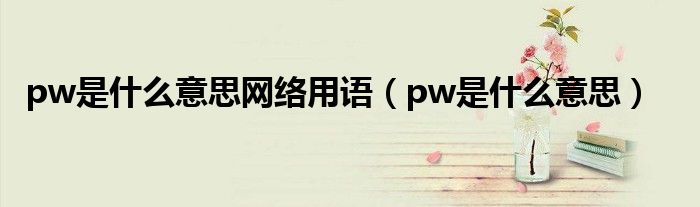 pw是什么意思网络用语（pw是什么意思）