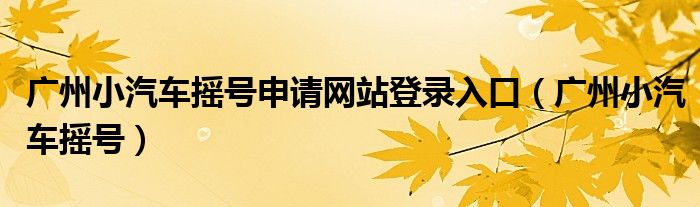 广州小汽车摇号申请网站登录入口（广州小汽车摇号）