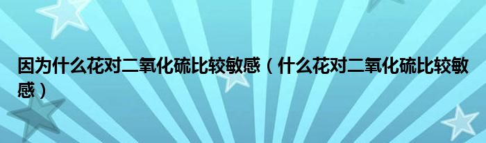 因为什么花对二氧化硫比较敏感（什么花对二氧化硫比较敏感）