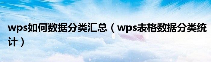 wps如何数据分类汇总（wps表格数据分类统计）