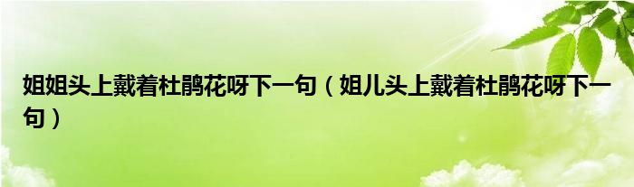 姐姐头上戴着杜鹃花呀下一句（姐儿头上戴着杜鹃花呀下一句）