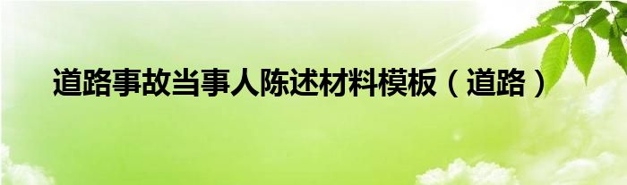 道路事故当事人陈述材料模板（道路）