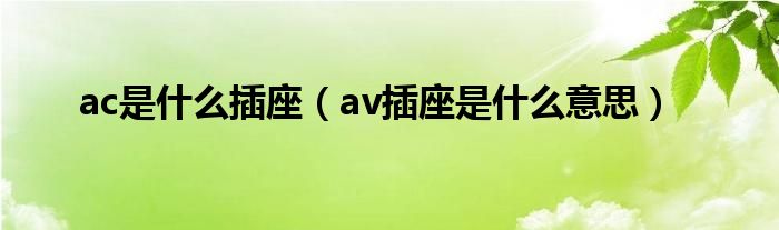 ac是什么插座（av插座是什么意思）