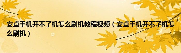 安卓手机开不了机怎么刷机教程视频（安卓手机开不了机怎么刷机）