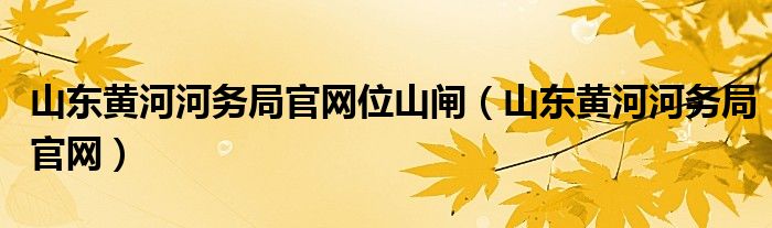 山东黄河河务局官网位山闸（山东黄河河务局官网）