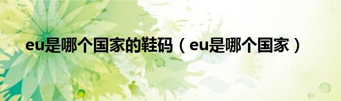 eu是哪个国家的鞋码（eu是哪个国家）