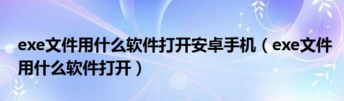 exe文件用什么软件打开安卓手机（exe文件用什么软件打开）