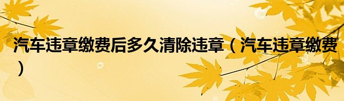 汽车违章缴费后多久清除违章（汽车违章缴费）