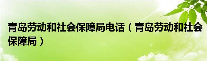 青岛劳动和社会保障局电话（青岛劳动和社会保障局）