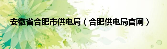 安徽省合肥市供电局（合肥供电局官网）