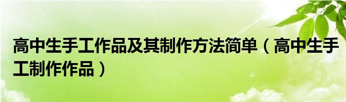 高中生手工作品及其制作方法简单（高中生手工制作作品）