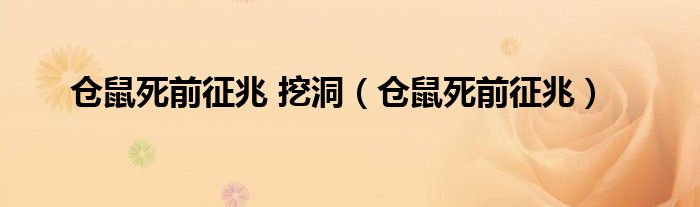 仓鼠死前征兆 挖洞（仓鼠死前征兆）