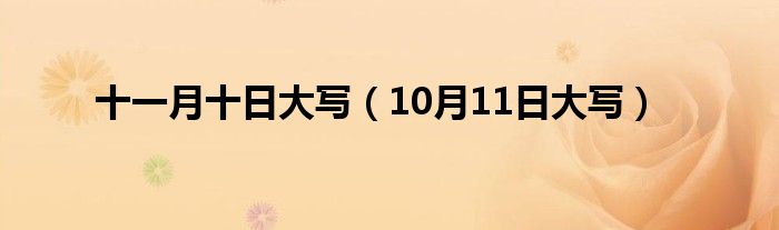 十一月十日大写（10月11日大写）