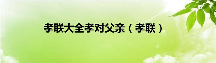 孝联大全孝对父亲（孝联）