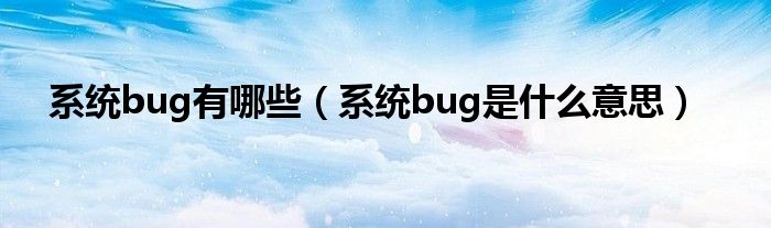 系统bug有哪些（系统bug是什么意思）