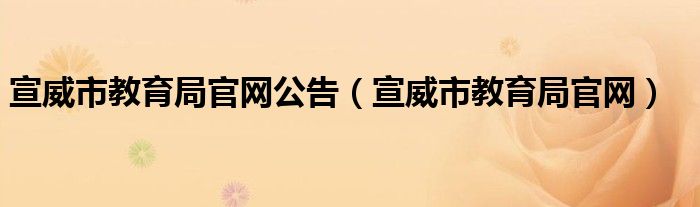 宣威市教育局官网公告（宣威市教育局官网）