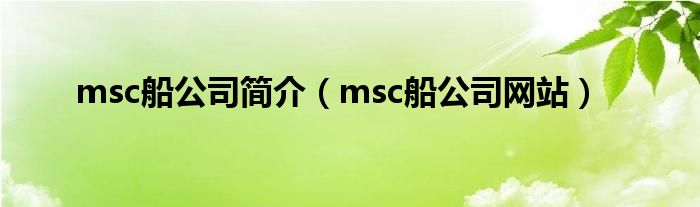 msc船公司简介（msc船公司网站）