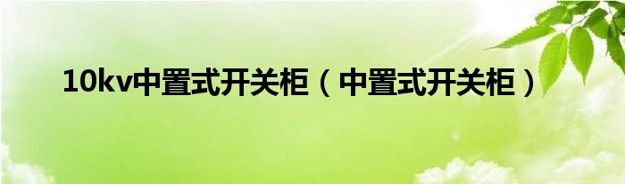 10kv中置式开关柜（中置式开关柜）