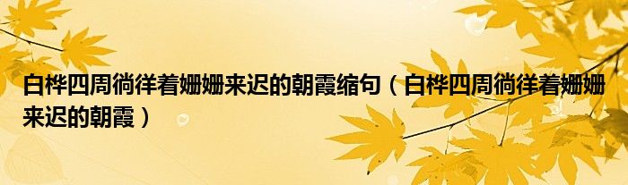 白桦四周徜徉着姗姗来迟的朝霞缩句（白桦四周徜徉着姗姗来迟的朝霞）