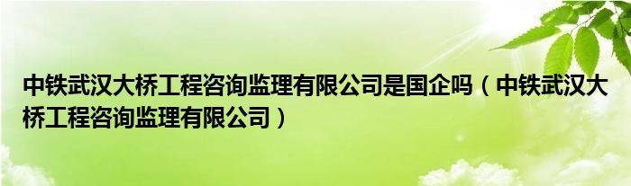 中铁武汉大桥工程咨询监理有限公司是国企吗（中铁武汉大桥工程咨询监理有限公司）