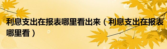 利息支出在报表哪里看出来（利息支出在报表哪里看）