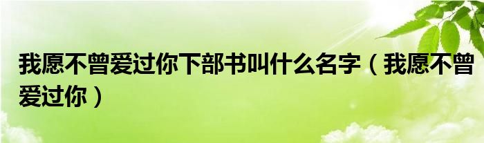 我愿不曾爱过你下部书叫什么名字（我愿不曾爱过你）