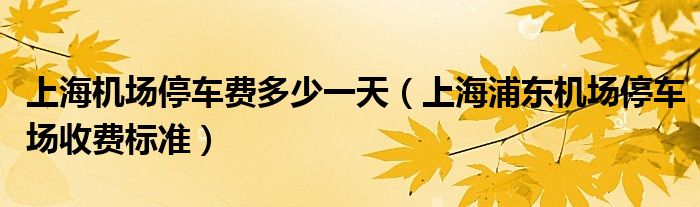 上海机场停车费多少一天（上海浦东机场停车场收费标准）