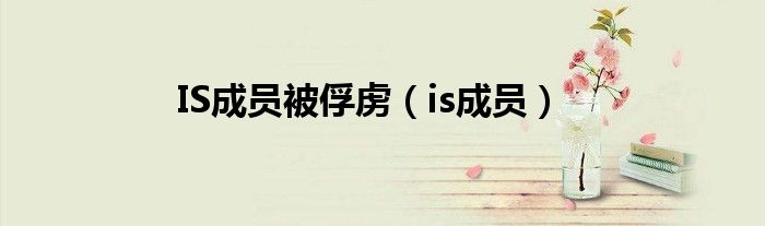 IS成员被俘虏（is成员）