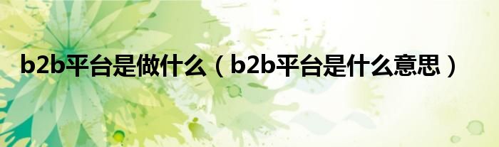 b2b平台是做什么（b2b平台是什么意思）