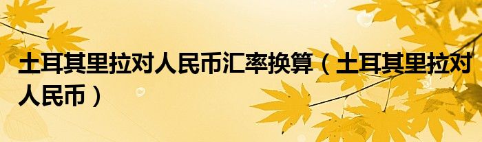 土耳其里拉对人民币汇率换算（土耳其里拉对人民币）