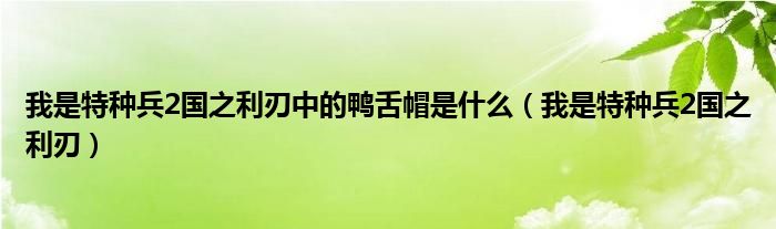 我是特种兵2国之利刃中的鸭舌帽是什么（我是特种兵2国之利刃）