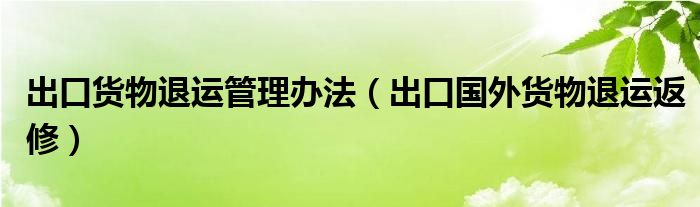 出口货物退运管理办法（出口国外货物退运返修）