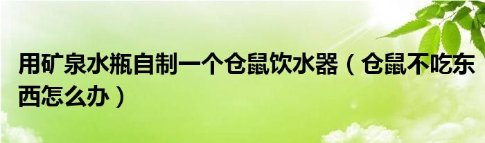 用矿泉水瓶自制一个仓鼠饮水器（仓鼠不吃东西怎么办）