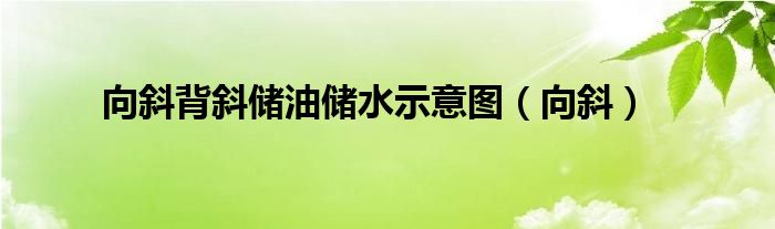 向斜背斜储油储水示意图（向斜）