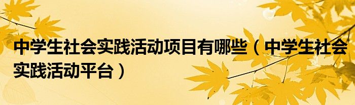 中学生社会实践活动项目有哪些（中学生社会实践活动平台）